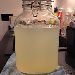 Easy to prepare and very refreshing! 
Used half a cup of suger for a one cup and a half of water to prepare the syrup to make it less sweet. Added a few mint leaves to the glass to make ot more refreshing 🍋
