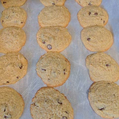 Yield 3 dozen.  Used maple syrup instead of sugar, all coconut oil instead of butter and one scoop vanilla protein powder 