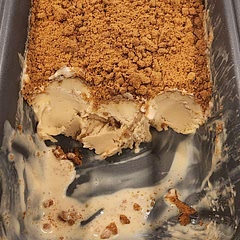 Biscoff ice cream used biscoff butter and some vanilla and added half a cup of crumbled biscoff cookie on top.