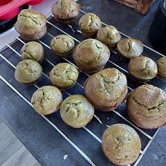 It tastes nice, however the texture is somewhat tough. Still, my 1 year old likes it if I break it into pieces. Didn't add chocolate chips, and didn't add extra honey as per recipe, and they were sweet enough. 