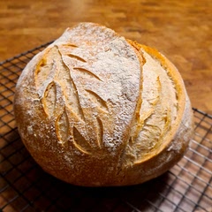 Got a good rise. Perfect for Instagram pictures but not the most flavorful loaf without whole wheat flavor and/or Rye
