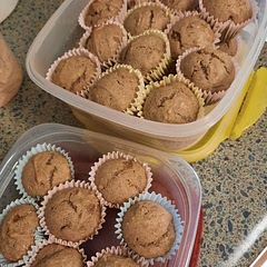 Swapped apples for applesauce (1/2 cup). Baked for 14 minutes. 12 probably would have been enough. 
