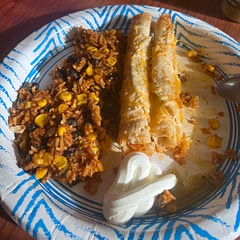 Came out good! I added medium enchilada sauce because we like a bit of spice, but quick and easy. You can make it in all in one pan!