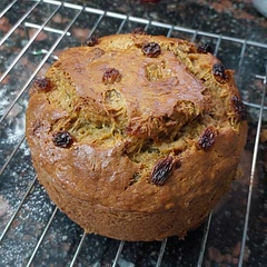 Delicious & simple! Not in the recipe but probably should skip raisins at top (still loving burnt raisins 😋) 