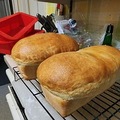 3 loaf pans next time