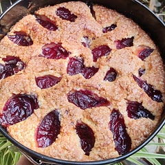 Beautiful. The sourness of the plums pairs great with the sweet pound cake, sugar topping gives a nice crumble on top. 