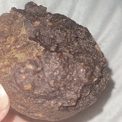 I skipped the dates, but gonna try some dessicated coconut or blueberries next time!