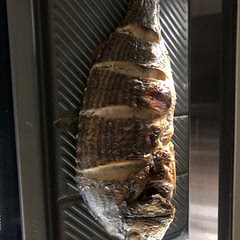 감성돔 구이를 했는데 3분더추가 요리했는데
정말 좋아요. 멋있어요