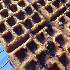 They were tasty but I was concerned that batter was far too thick (even though the recipe says it will be). I added an extra 1/2 C milk and 1/4 C pumpkin (for extra pumpkin flavor). I also added wild blueberries to some of them.