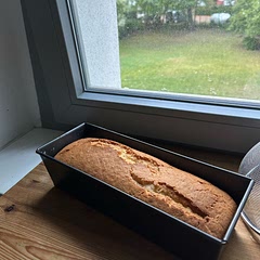 Turned out pretty nice! I used oil as substitute to butter so had to bake it for 45 mins instead of 30 mins for it to be fully cooked.