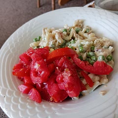 I used Greek yogurt, tarragon,  lemon, mayo, dill, minced garlic, and canned salmon. 