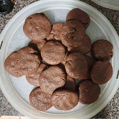 Definitely chocolatly. The family really seemed to like these. They are little brownies that are easily eaten on the go. Will definitely be making it again. 