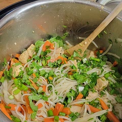 So good! I added a bit less water since the chicken adds liquid. My kids loved it too!