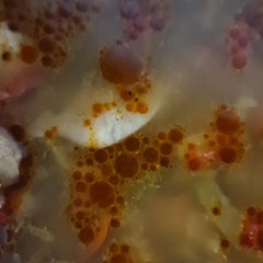Decided to make it on the stove because I used frozen ingredients (frozen meat, frozen veg). Because I already had to cook it in a pot to make it warm before putting it in the slow cooker - I left it for an hour on slow. It is brilliant!! 