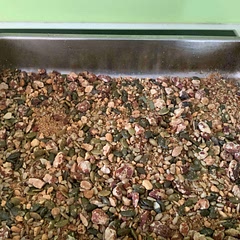 I didn’t have any coconut chips, but it is still delicious.  It will be better with coconut chips, when they are toasted it adds another dimension.