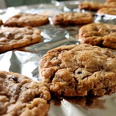 Some seriously good cookies! Really easy to make. I swapped out vanilla essence & the chocolate to orange essence & dark chocolate. Really enjoyed these.