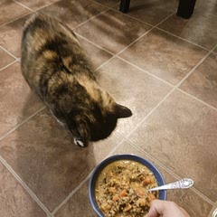 Good for the whole family 😺! The wild rice didn't absorb all the liquid and was incredibly nutty and flavorful.