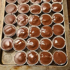 My son has Alpha Gal Syndrome, so we have to be SO careful with what he eats. This recipe is awesome. He loves Reeses cups, and these taste better in his opinion. They are great! 
