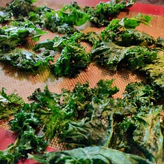 I used some olive oil and sea salt. The low temp really helps the kale retain their color-- delicious 