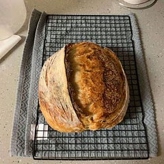Used 100g whole wheat, 500g bread flour, no diastatic malt powder. Left in the fridge for 72 hours, and baked in pre-heated DO.