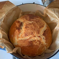 I personally prefer to omit the honey just for a more traditionally pure “bread-y” flavour, but this is by far the most fool-proof artisan bread recipe I’ve followed with excellent results each time!