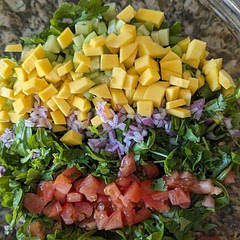 I'm a HUGE fan of eating the rainbow and this was an easy, yet colorful and fresh option for salad 🥗
