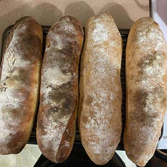 Made with sourdough focaccia recipe
1.20.25 made as regular bread roll with all purpose flour