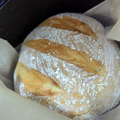 Super easy. My previous loaf didn't rise (different recipe) so I tried this one due to the speed. Worked great