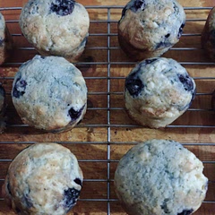 I didn't have any butter so I used canola oil instead and I also used frozen blueberries. I didn't add the streusel topping. Baked for 25 minutes. Turned out very nice. I will definitely be making again.