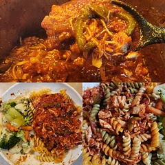 I shredded the chicken after cooking and stored it back into the sauce and we used tri- color rotini because it's what was in the pantry. Basically chicken spaghetti flavor. 