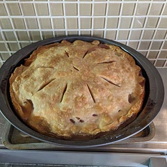 Perfect recipe for my first pie! 