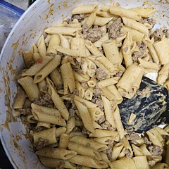 Made it with some ground beef, 1 year old and husband loved it! 