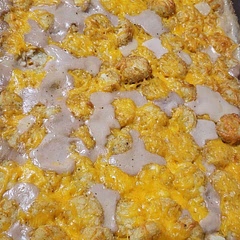 I added corn and some black beans, with a little extra seasoning, and it was DELICIOUS. I recommend putting a smidge more seasoning than directed, but maybe that's just preference.