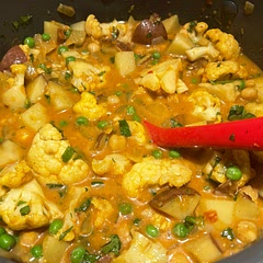 Had a nice spice but curry should be thicker for my liking, seemed light healthy and fresh, might try different coconut milks to get thicker curry. Cauliflower could have been more flavorful, didn’t absorb the flavor.