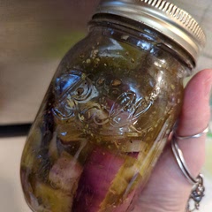 I like putting mine in a ball mason jar to keep it fresh and clean. Great on salads, in sandwiches as they are, or grab some for cooking- you'll always have delicious onions on hand!