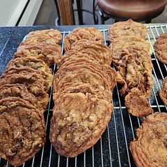 They taste good but are not pretty. Chewy and crispy. My family likes a softer cookie most of the time but ended up liking these. I would cut the sugar a bit next time.