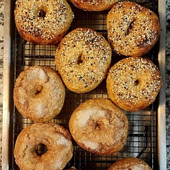 Not too bad for my first time making bagels! Can't wait to taste them!