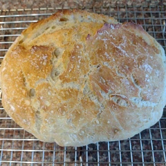 This was delicious and so easy. I added half a teaspoon of sugar to feed my yeast because I wasn't sure how long I'd had it. I also added a bit more water because my dough was too dry to start with. I'll cook it for another 5 minutes before uncovering it, next time, because I don't think that my oven gets quite hot enough.