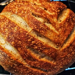 Takes a couple days,  but so worth it!
Great texture and taste, added wholewheat flour to the mix this time.