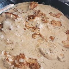 Had to add some salt.  Caramelized onions added a lot of flavor.  Fairly quick to make.  Next time I'll cut the chicken into strips for faster cooking.