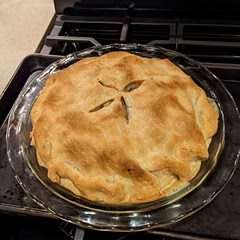 I used fresh vegetables.  Cooked potatoes and carrots in microwave then added to recipe.  Added green beans to cook with pie.  Everyone liked it.  Will make it again.