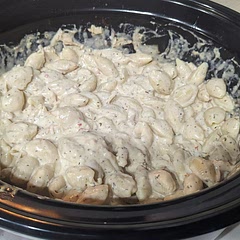 I used shells instead. As expected it was super super filling. The sauce had a nice little kick to it so it wasn't just cheese. I did get Italian season chicken breasts which may have added to the flavors. I will definitely make this again.
