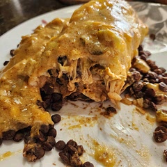 Replaced chicken with Jackfruit. Added a pack of taco seasoning to the enchilada filling. Also added a can of black beans to the filling as well as another can of chilies.