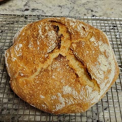 I followed the recipe exactly as described and it turned out so well! I also made two bread loads and they were great too.