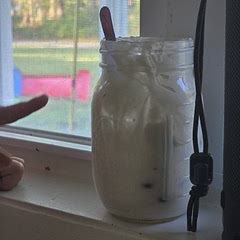 Instead of plain greek yogurt I used vanilla and honey. And kids love it!