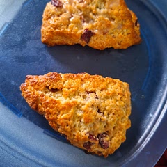 Use dried cranberries soaked in orange juice instead of frozen cranberries.  Tastes good.