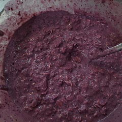 I blended my berries with 2/3 milk & 1/3 greek yogurt, 2 dates, and protein powder.  I put in half the lemon zest juice but it's a little overpowering.   added some chia.  I think it'll take some tweeking the next time around. It's not bad tho 