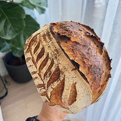 Love love love! Will be my go to recipe for sourdough bread!! Will try to increase hydration next timeto get more open and airy crumb ❤️