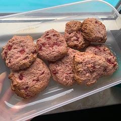 they're definitely more on the moist/chewy side, but still very delightful