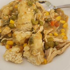 I added frozen veggies at the beginning and I made it in a slow cooker so let everything cook for about 4 hours on high before adding the dumplings and it turned out absolutely amazing. Me and my daughter thoroughly enjoyed it